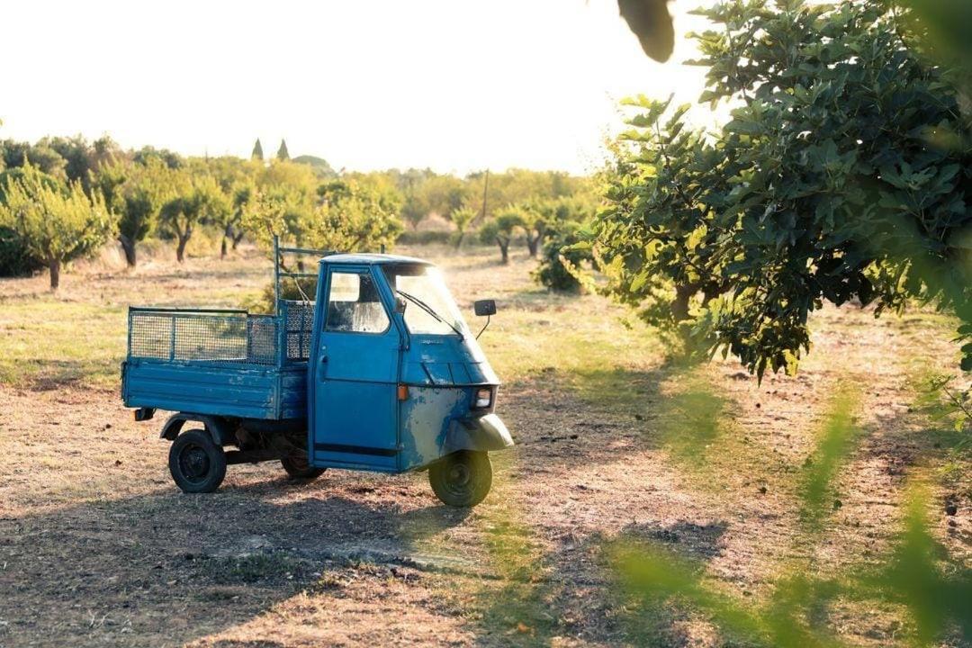 Vila Casa In Campagna ⋅ Forimia San Vito dei Normanni Exteriér fotografie