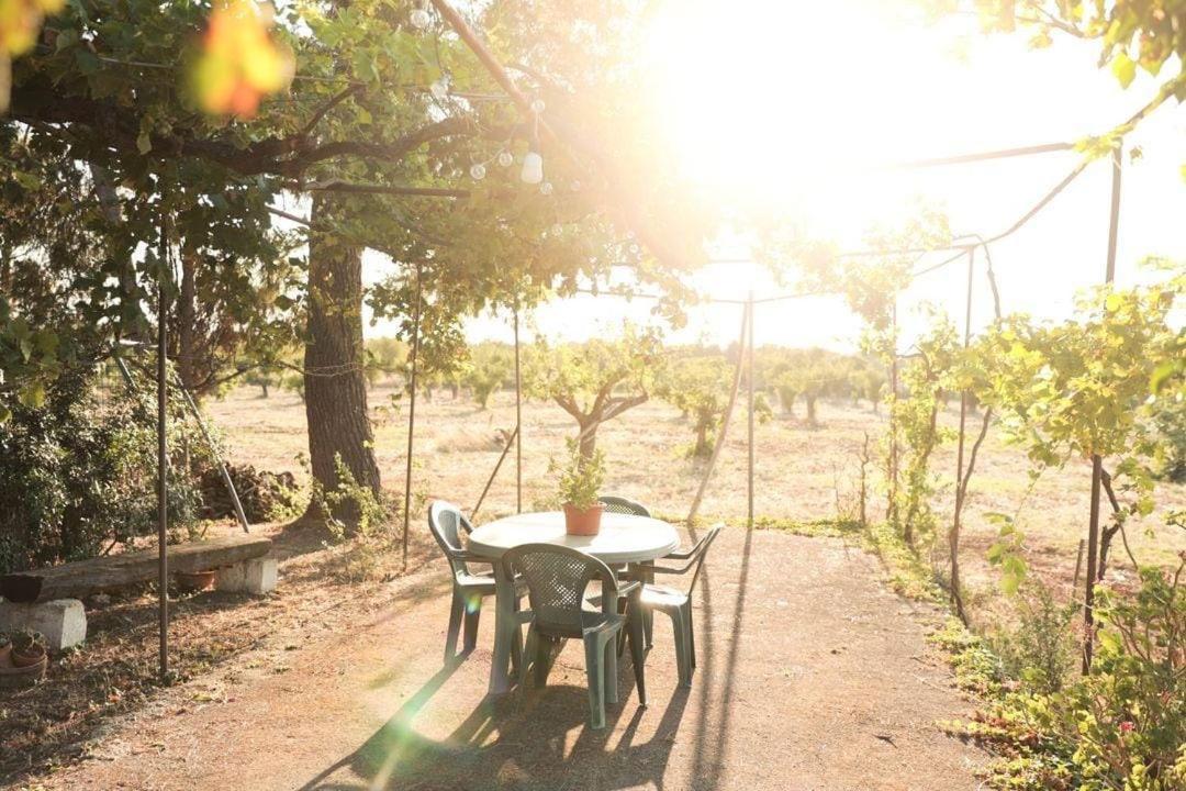 Vila Casa In Campagna ⋅ Forimia San Vito dei Normanni Exteriér fotografie